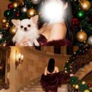 ヒメ日記 2025/12/20 20:18 投稿 るな CECIL