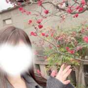 ヒメ日記 2026/02/27 21:21 投稿 るな CECIL