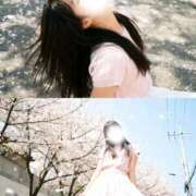 ヒメ日記 2026/04/10 09:58 投稿 るな CECIL