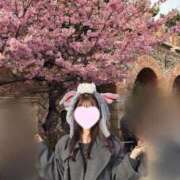 ヒメ日記 2026/04/26 15:26 投稿 るな CECIL