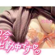 ヒメ日記 2025/01/22 12:04 投稿 はな 水戸デブ専肉だんご＆人妻浮気現場