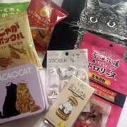 ヒメ日記 2025/07/31 15:19 投稿 渡瀬　きょう SM東京　新宿店