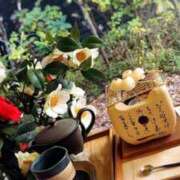 ヒメ日記 2025/12/22 20:25 投稿 渡瀬　きょう SM東京　新宿店