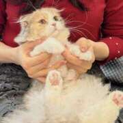 ヒメ日記 2026/03/02 20:31 投稿 渡瀬　きょう SM東京　新宿店