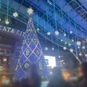 ヒメ日記 2025/11/19 12:05 投稿 らん☆新人2000円OFF AROMA LUXE PLATINUM 宮崎