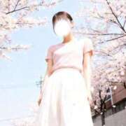 ヒメ日記 2026/04/03 15:14 投稿 らん☆新人2000円OFF AROMA LUXE PLATINUM 宮崎