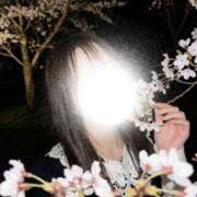 ヒメ日記 2026/04/07 07:16 投稿 らん☆新人2000円OFF AROMA LUXE PLATINUM 宮崎