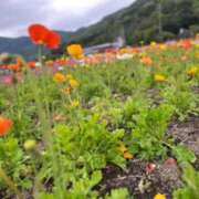 ヒメ日記 2024/04/15 11:37 投稿 あゆ 鹿児島ちゃんこ 薩摩川内店