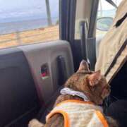 ヒメ日記 2026/01/01 19:06 投稿 あゆ 鹿児島ちゃんこ 薩摩川内店