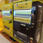 ヒメ日記 2024/12/19 18:51 投稿 ローズ 名古屋デッドボール