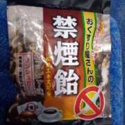 ヒメ日記 2025/02/23 16:36 投稿 ローズ 名古屋デッドボール