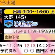 ヒメ日記 2024/02/25 08:51 投稿 大野 名古屋デッドボール