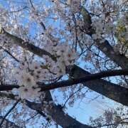 ヒメ日記 2025/04/06 18:47 投稿 大野 名古屋デッドボール