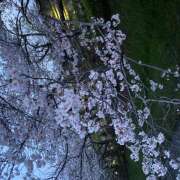 ヒメ日記 2025/04/09 10:01 投稿 大野 名古屋デッドボール