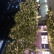 ヒメ日記 2025/12/31 20:35 投稿 大野 名古屋デッドボール