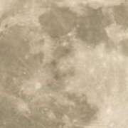 井川【いがわ】 満月🌕️ 丸妻 西船橋店