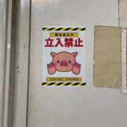 ヒメ日記 2026/01/07 14:50 投稿 あん 渋谷角海老