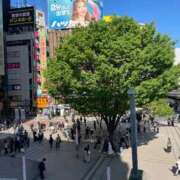 ヒメ日記 2026/04/09 14:50 投稿 あん 渋谷角海老