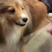 ヒメ日記 2024/12/17 19:54 投稿 みゆ ぷるりんクエスト上野浅草鶯谷秋葉原デリヘル王国