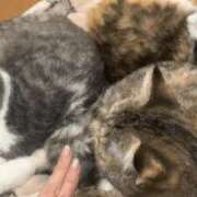 ヒメ日記 2024/12/23 22:00 投稿 みゆ ぷるりんクエスト上野浅草鶯谷秋葉原デリヘル王国