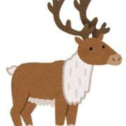 ヒメ日記 2025/12/03 12:29 投稿 のあ しゃんぜりぜ