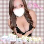 ヒメ日記 2025/11/29 12:30 投稿 ユキネ【FG系列】 デリぽちゃin柏（FG系列）