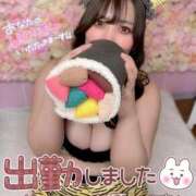 ヒメ日記 2026/02/03 11:30 投稿 ユキネ【FG系列】 デリぽちゃin柏（FG系列）