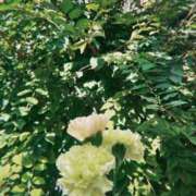 ヒメ日記 2025/03/27 19:49 投稿 アオ 贅沢なひと時