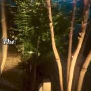 ヒメ日記 2025/04/21 18:48 投稿 アオ 贅沢なひと時