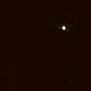 ヒメ日記 2025/06/16 07:18 投稿 アオ 贅沢なひと時