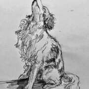 ヒメ日記 2025/06/22 18:32 投稿 アオ 贅沢なひと時