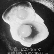 ヒメ日記 2025/06/24 07:04 投稿 アオ 贅沢なひと時