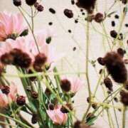 ヒメ日記 2025/07/04 21:03 投稿 アオ 贅沢なひと時