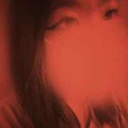 ヒメ日記 2025/07/06 20:21 投稿 アオ 贅沢なひと時