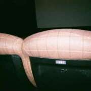 ヒメ日記 2025/07/13 07:03 投稿 アオ 贅沢なひと時