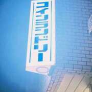 ヒメ日記 2025/07/27 06:36 投稿 アオ 贅沢なひと時