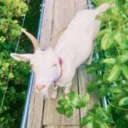 ヒメ日記 2025/08/14 22:03 投稿 アオ 贅沢なひと時