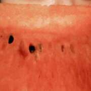 ヒメ日記 2025/08/15 20:27 投稿 アオ 贅沢なひと時