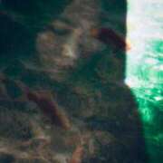 ヒメ日記 2025/08/17 07:04 投稿 アオ 贅沢なひと時