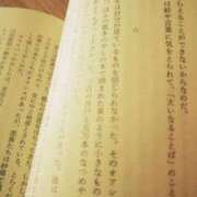 ヒメ日記 2025/09/07 08:48 投稿 アオ 贅沢なひと時