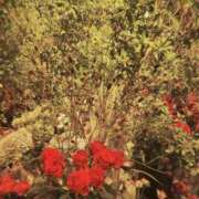 ヒメ日記 2025/09/16 17:48 投稿 アオ 贅沢なひと時