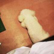 ヒメ日記 2025/10/12 18:08 投稿 アオ 贅沢なひと時