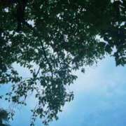 アオ 言の葉の庭 贅沢なひと時