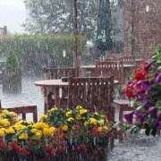 ヒメ日記 2025/12/03 13:54 投稿 じゅり 美魔女倶楽部