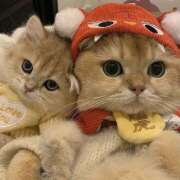 ヒメ日記 2026/01/03 11:36 投稿 じゅり 美魔女倶楽部