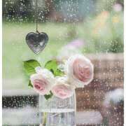 ヒメ日記 2026/03/10 14:04 投稿 じゅり 美魔女倶楽部