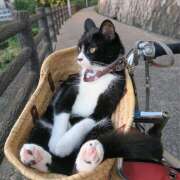 ヒメ日記 2026/03/15 12:46 投稿 じゅり 美魔女倶楽部