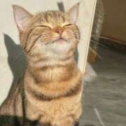 ヒメ日記 2026/04/07 17:14 投稿 じゅり 美魔女倶楽部