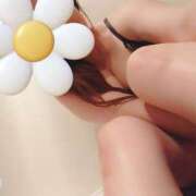 ヒメ日記 2026/02/01 22:18 投稿 すず 海上空天 SHANGHAI HEAVEN