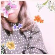 ヒメ日記 2024/12/15 08:02 投稿 有村真衣 五十路マダム姫路店